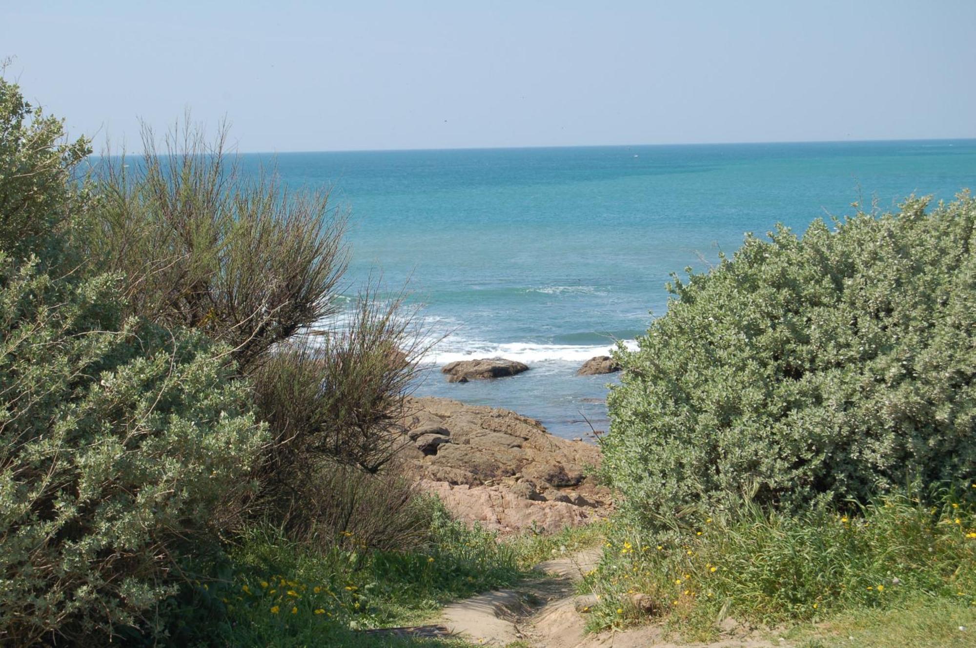 La Vigie